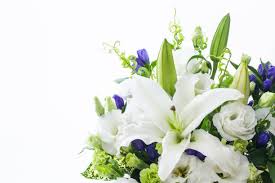Samiha Mazumder, Obituary, New York Death: Has Sadly Died